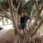 We HAD to get a photo of us in the most unusual tree ever.