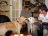 Jessy and Paddy fighting over their new toys