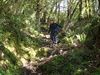 Day three - the big descent!