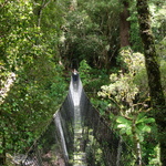 Don't look down! Gini crosses the freaky swing bridge ....