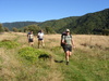 The tramp was a pleasant stroll through grassy fields .... 