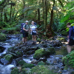 .... an unexpected two hour creek climb with 17 stream crossings (both ways) ....