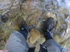 Wet feet