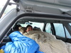Rory, finding it difficult to leave his comfy double-bed-in-the-boot.
