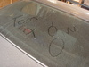 Tom fish Gini