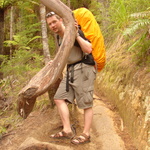 Sitting on a tree