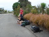 Waiting for the Bus, Nelson Airport