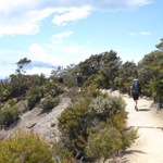 Walking the walk