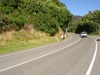 Geoff sprinting down the hill