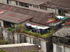 Rooftop 