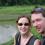 One of the rice fields in their early stage of growth.