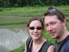 One of the rice fields in their early stage of growth.