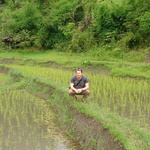 Tom in the rice fields