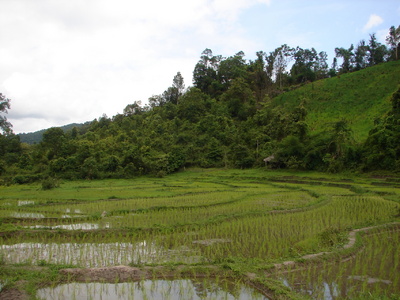 The natural irrigation system they used was amazing.