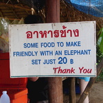 We made our elephant real friendly :)