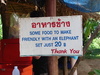We made our elephant real friendly :)