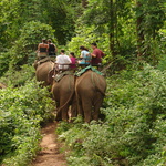 Part way through the elephant trek.
