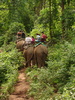 Part way through the elephant trek.