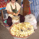 Preparing the corn for sale at the market