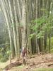 Not as massive as the biggest bamboo we've ever seen!