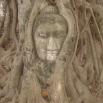 As well as tree bound buddhas.