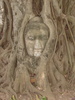 As well as tree bound buddhas.