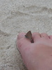Widdle moth!