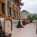 Gini admiring the Random Wat's ornate decorations.