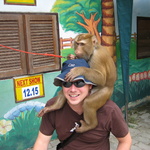 2 monkeys.