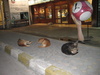The local pound? No, just a street in Koh Samui.