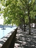 Beside the Rhone River