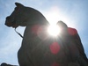 The mighty horse!