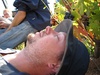 Just a quick nap.....