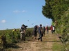 The grape fight!