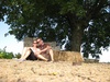 Tranquility found under the oak tree.