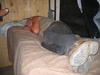 The Sheriff in his usual sleeping position.