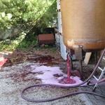 I watched as hundreds of litres of wine goes spilling. Apparently this wasn't supposed to happen ...
