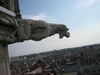 Is the gargoyle going to eat Dijon?