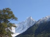 Tree, mountain and more trees