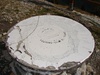 The round table