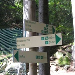 hmmm which way...