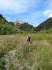 The hills were alive...