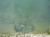Fishies!
