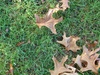 The start of Autumn