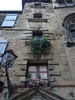 Cute windows