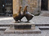 The icon of the region, poor goosey