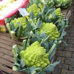 Never seen that before, Broccoli and Cauliflower had a baby?
