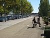 Enjoying the spring day, warm in the sun