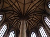 Amazing pastel colouring all over the ceiling