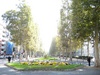 Leading to the Grand Rond park area